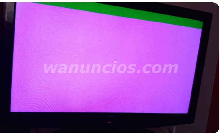 Maestra de educación primaria y Educación Especialidad (Hispanohablantes)