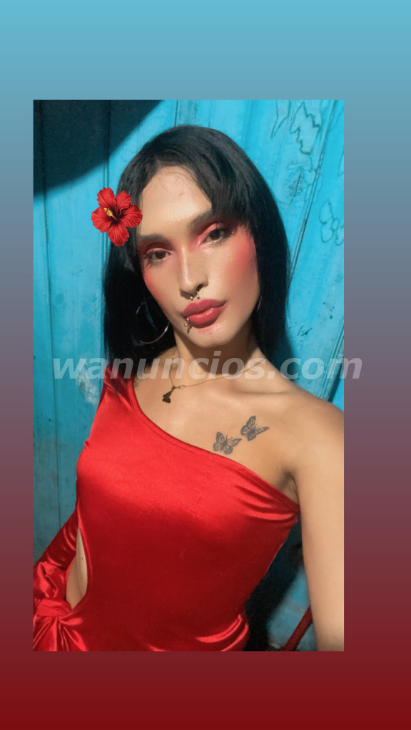 Ofrezco servicio de mi amiga trans disponible en San Pedro Y Cofradia (San Pedro Sula) 2