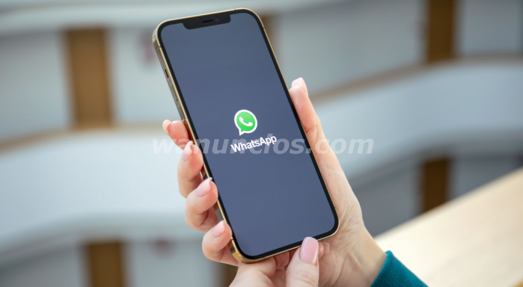 DETALLES DE NÚMEROS DE CELULAR CON GEOS COAHUILA