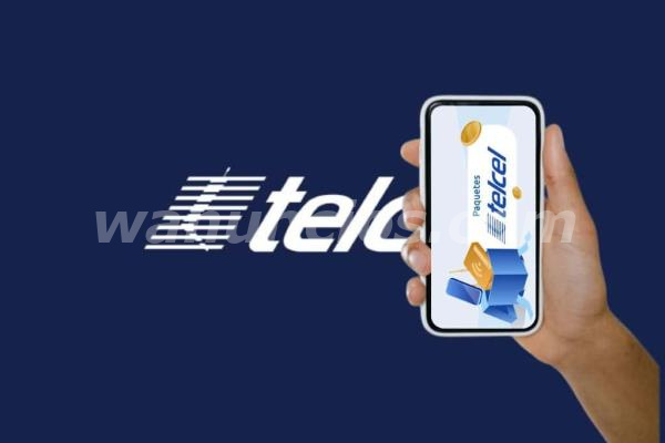 DETALLES DE NÚMEROS TELEFÓNICOS Y SMS B.C.S