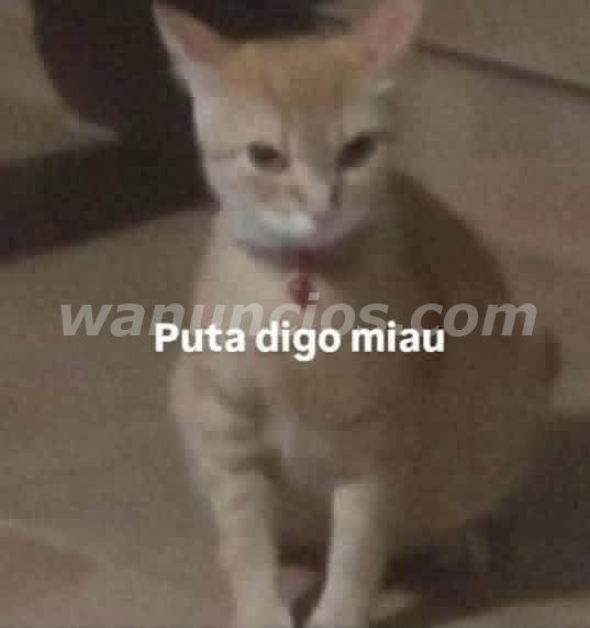 Ofrezco servicio a mujeres mayores que quieran pasar un rato increible (Managua)