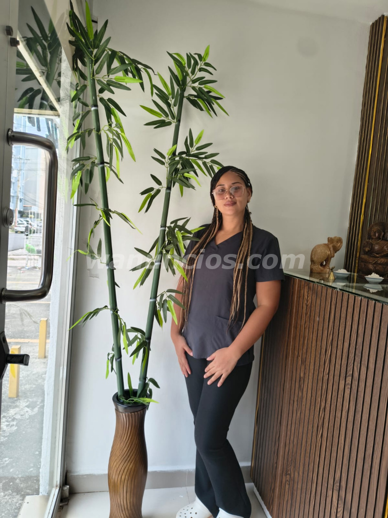 Masajes relajantes aromaterapia y desconexcion (Cangrejo)