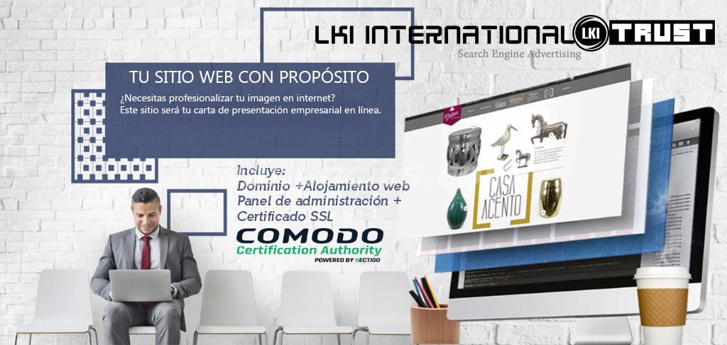 Diseño de paginas web ecomomicas y profesionales (Carabanchel) 4
