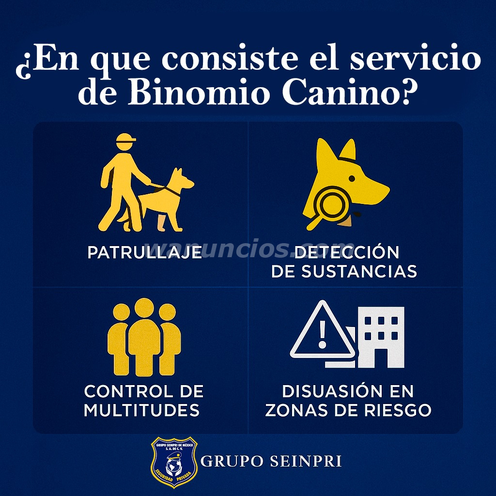 GRUPO SEINPRI "SEGURIDAD PRIVADA" EN MÉXICO (Ciudad de México)