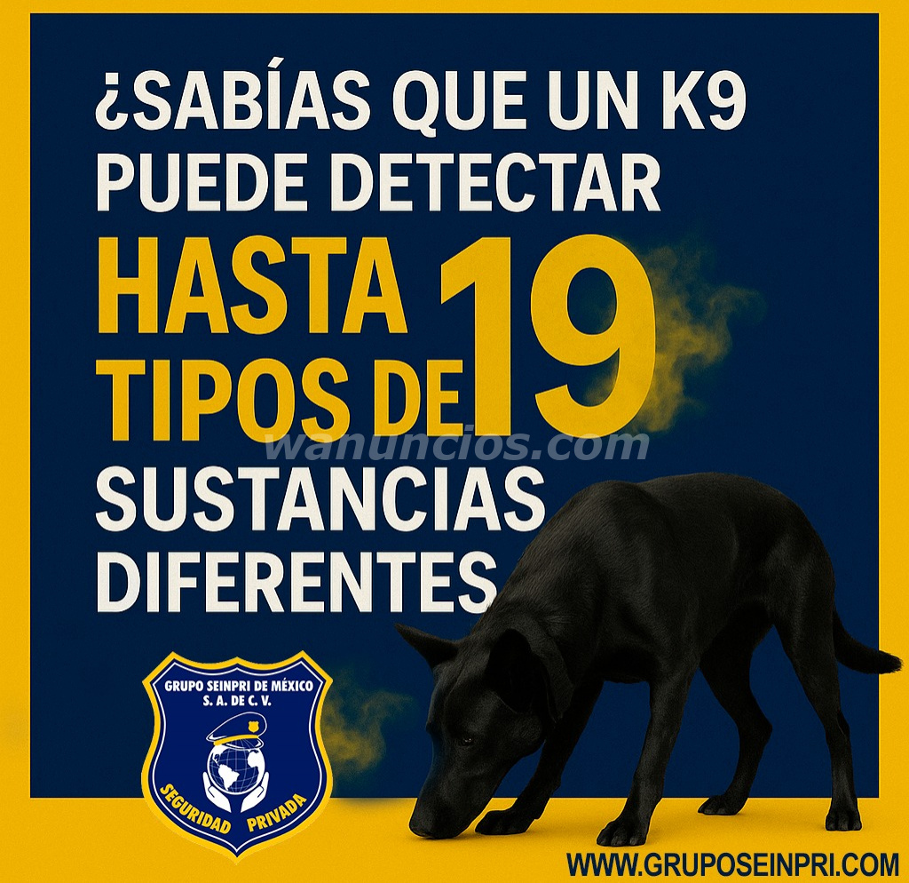 Grupo Seinpri. La mejor opción "SERVICIO K9" (CDMX, EDO. INT DE LA REPÚBLICA)
