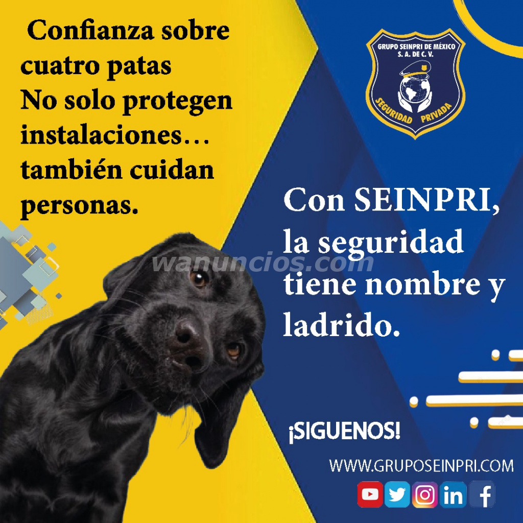 Con Seinpri, tu empresa crece con respaldo. (CDMX, EDO MEXICO, INT REPU)