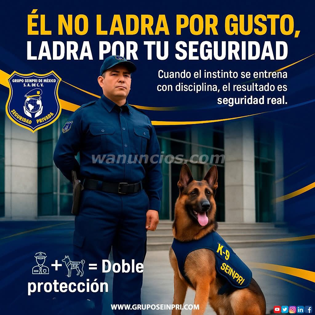 En SEINPRI, la seguridad no es solo un compromiso es nuestra misión! (CDMX, EDO MÉXICO, INT REP)