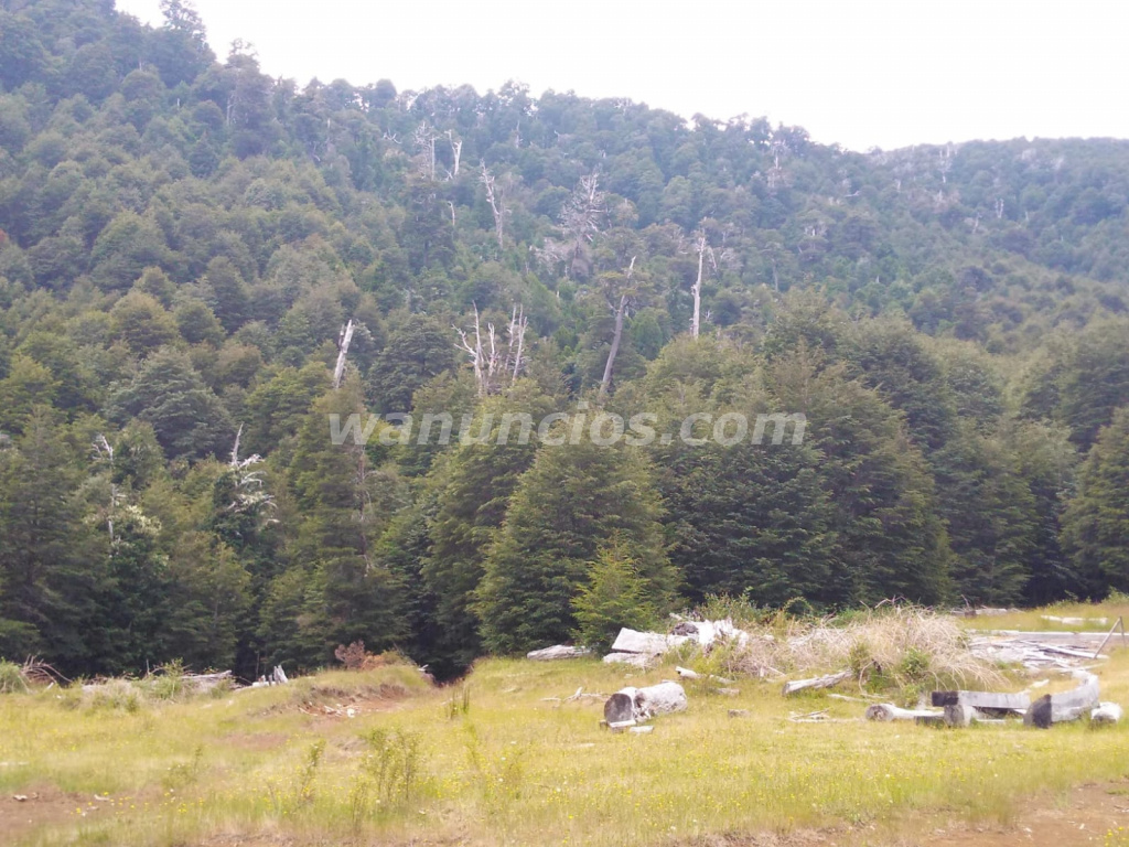 8.000.000 Pesos - Se vende hermoso campo con montaña nativa en la novena región de chile (País chile