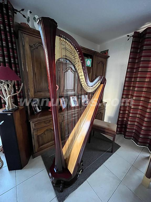 800 € - Para quienes aman el sonido Regalo de David Harp con accesorios