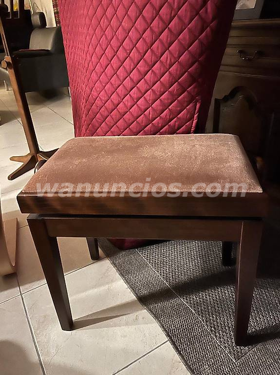 800 € - Para quienes aman el sonido Regalo de David Harp con accesorios 2