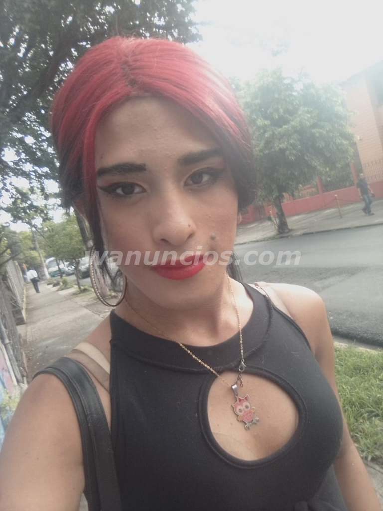 Bella trans nueva e el ambiente ofreciendo servicios sexuales - San ...