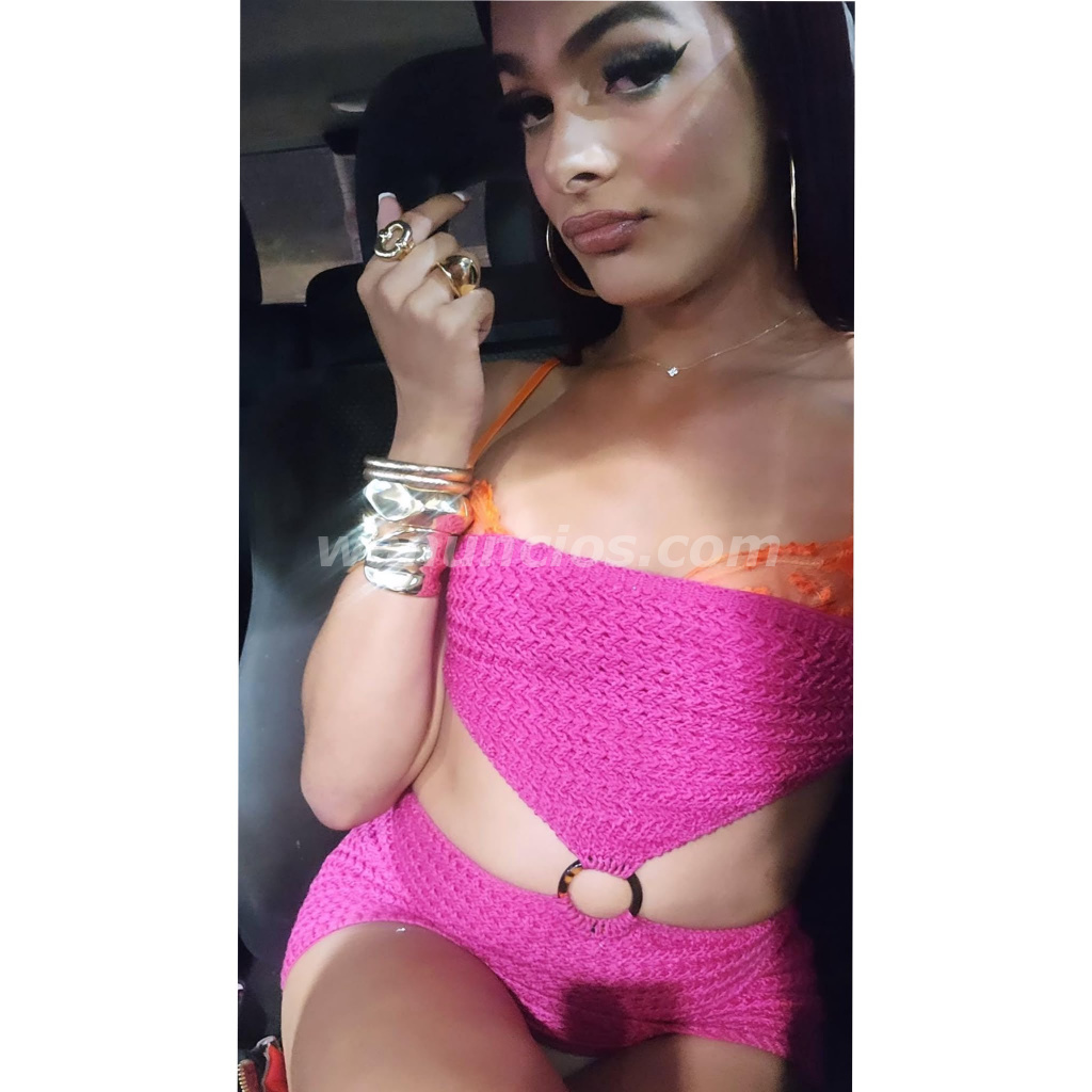 Disponible en las Fiestas Patronales de Cayey (CAYEY)