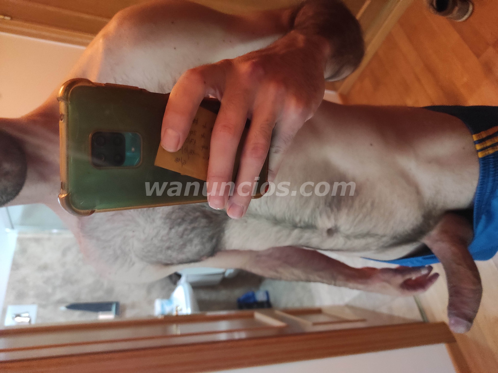 Español joven con pollon para chicas morbosas y con fantasías (Madrid y alrededores) 3