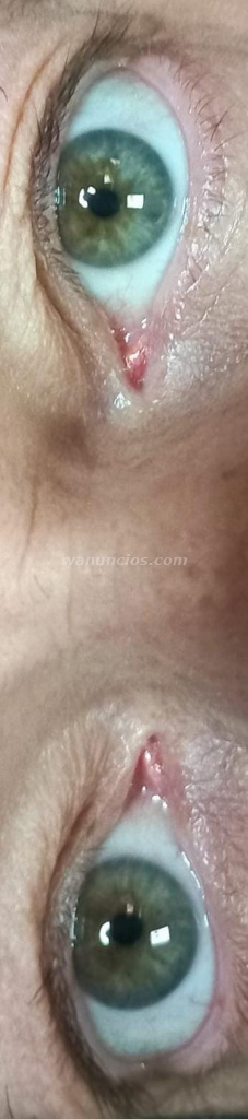 Busco chica no profesional para divertirnos. (toda y +)