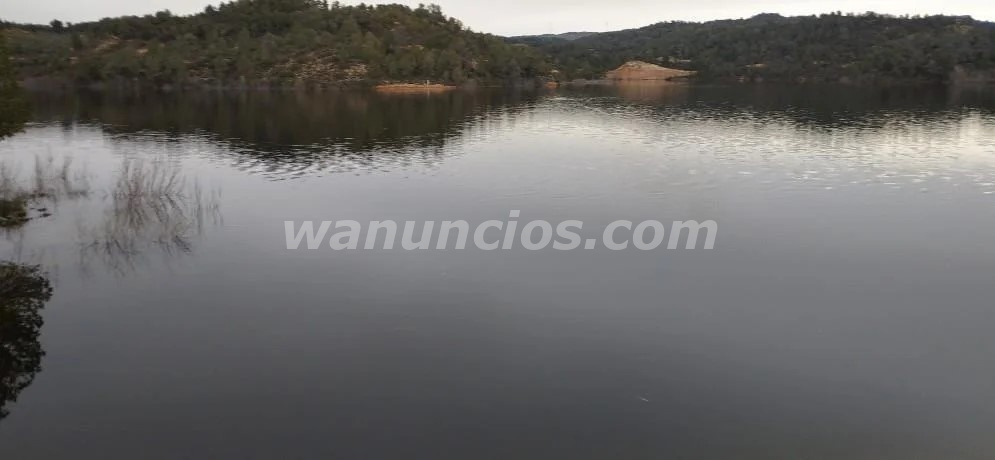 Maduro dominante busco chica joven , sumisa y obediente (Lleida)