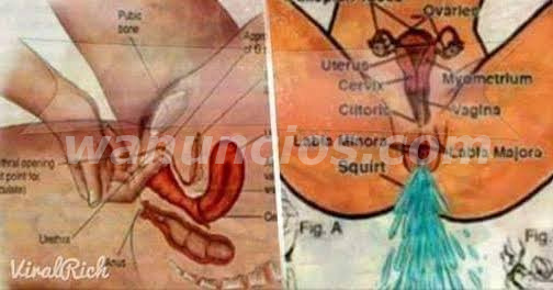 SQUIRTING PARA CHICAS INTERESADA!! ORGASMO INTENSO (Toda la provincia) 3