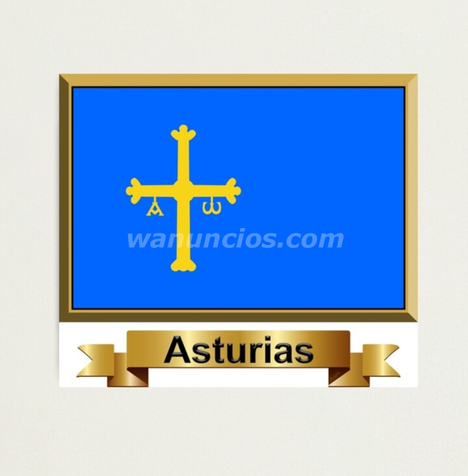 CONOCERIA SEÑORITA QUE ESTE EJERCIENDO DE MÉDICA (OVIEDO, GIJÓN, AVILÉS, ARRIONDAS, JARRIO, CANGAS.. 3