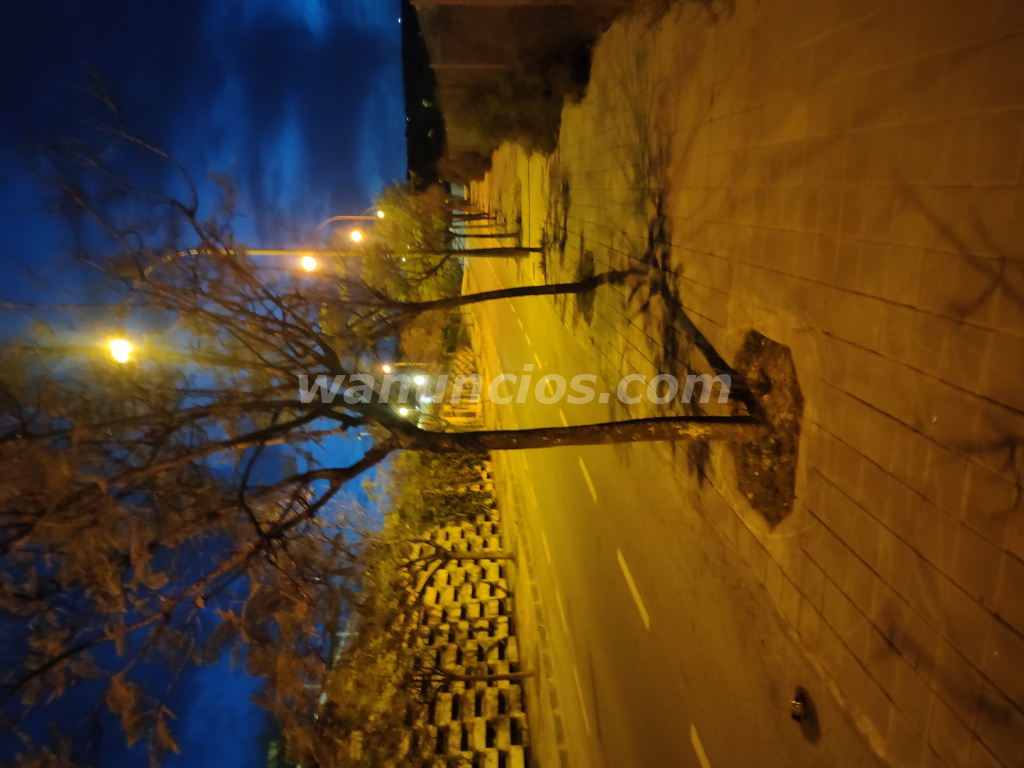 Garganta profunda y tragona a pelo vistahermosa (Vistahermosa) 2