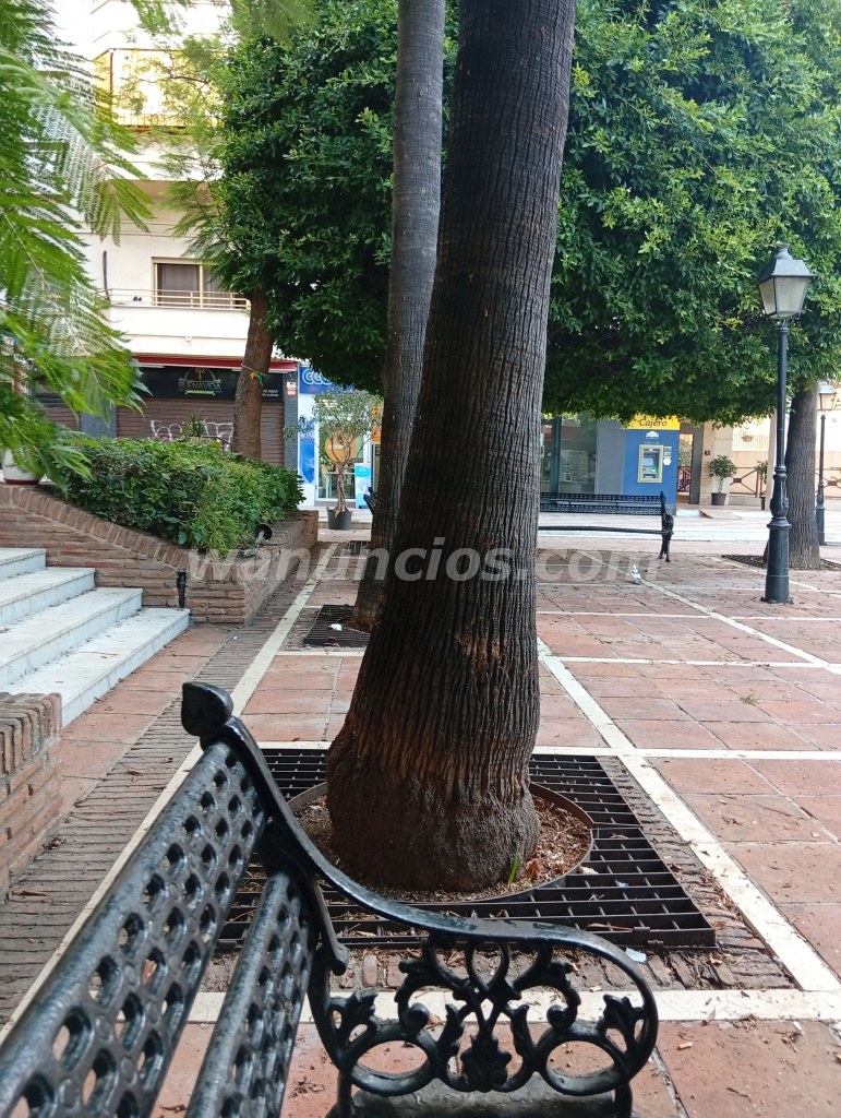 Busco hombre activo discreto para amistad (Marbella)