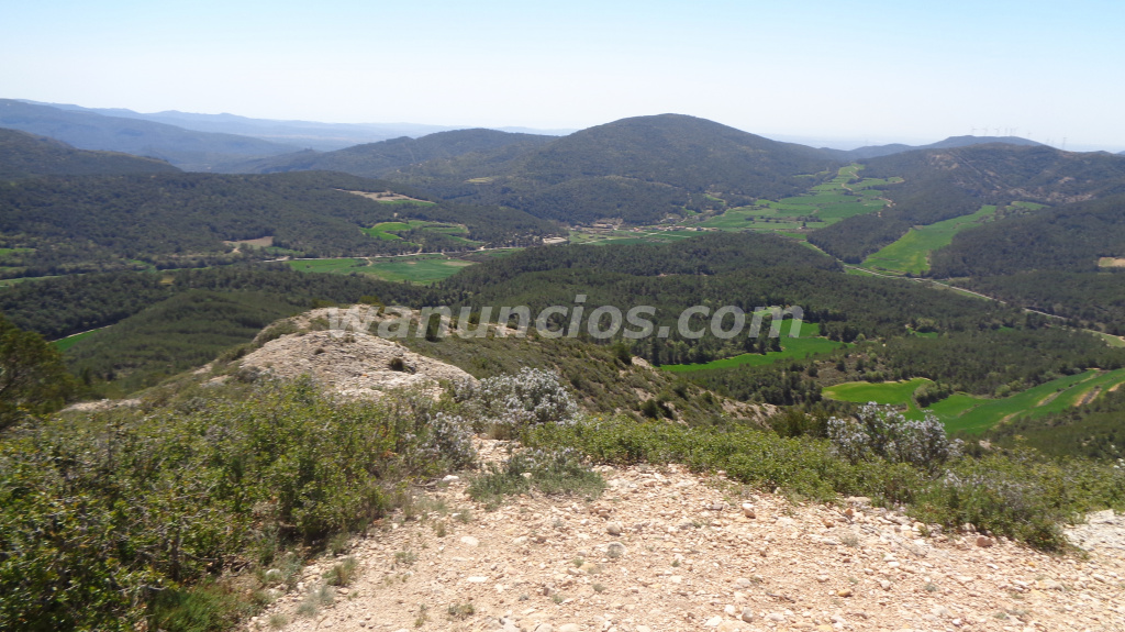 Crear un grup de nueves amistats amb aficions similars, d'edats entre 38 i 48 (Lleida)