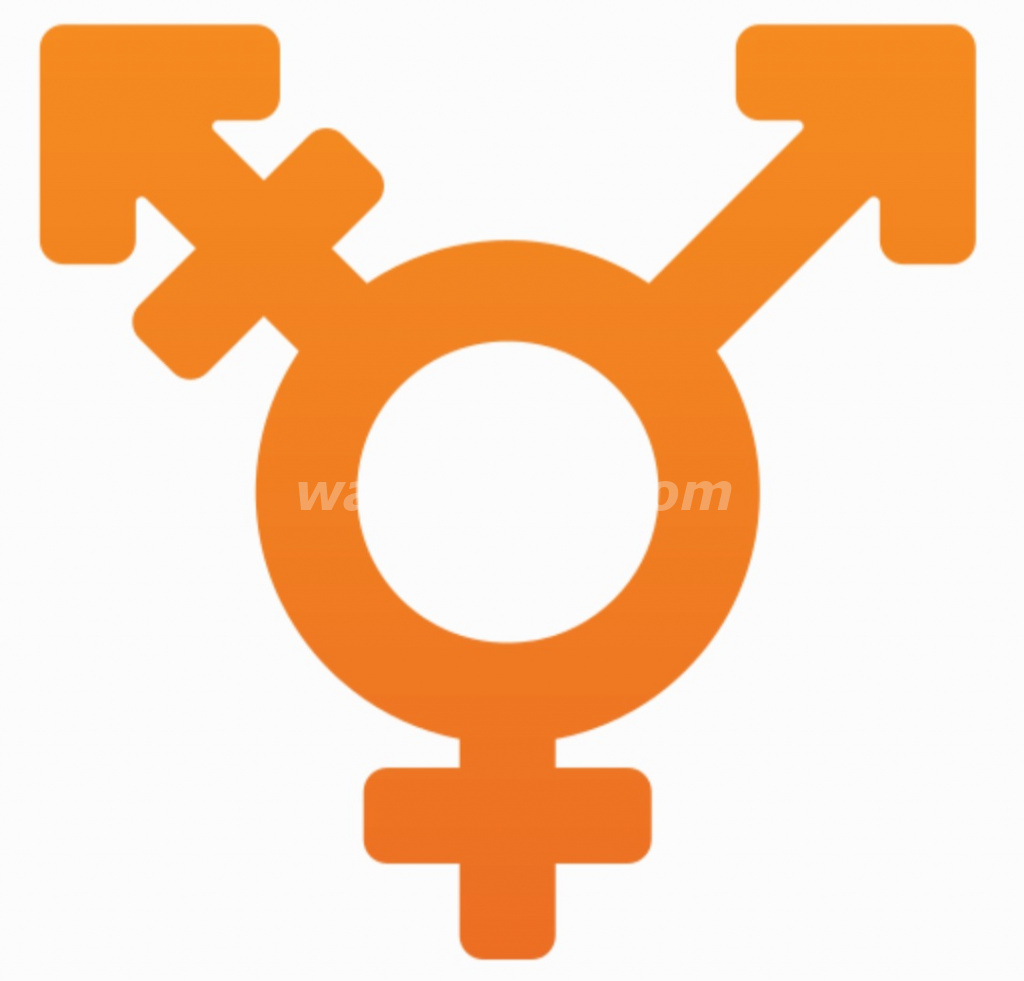 Chico de 35 busca transex femenina y lechera (Castellón)