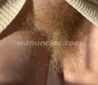 Busco chica de coño muy peludo tipo hippie (Castellón) 2